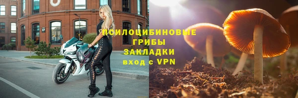 мдпв Магадан