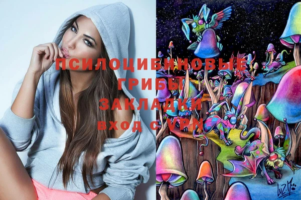 мдпв Магадан